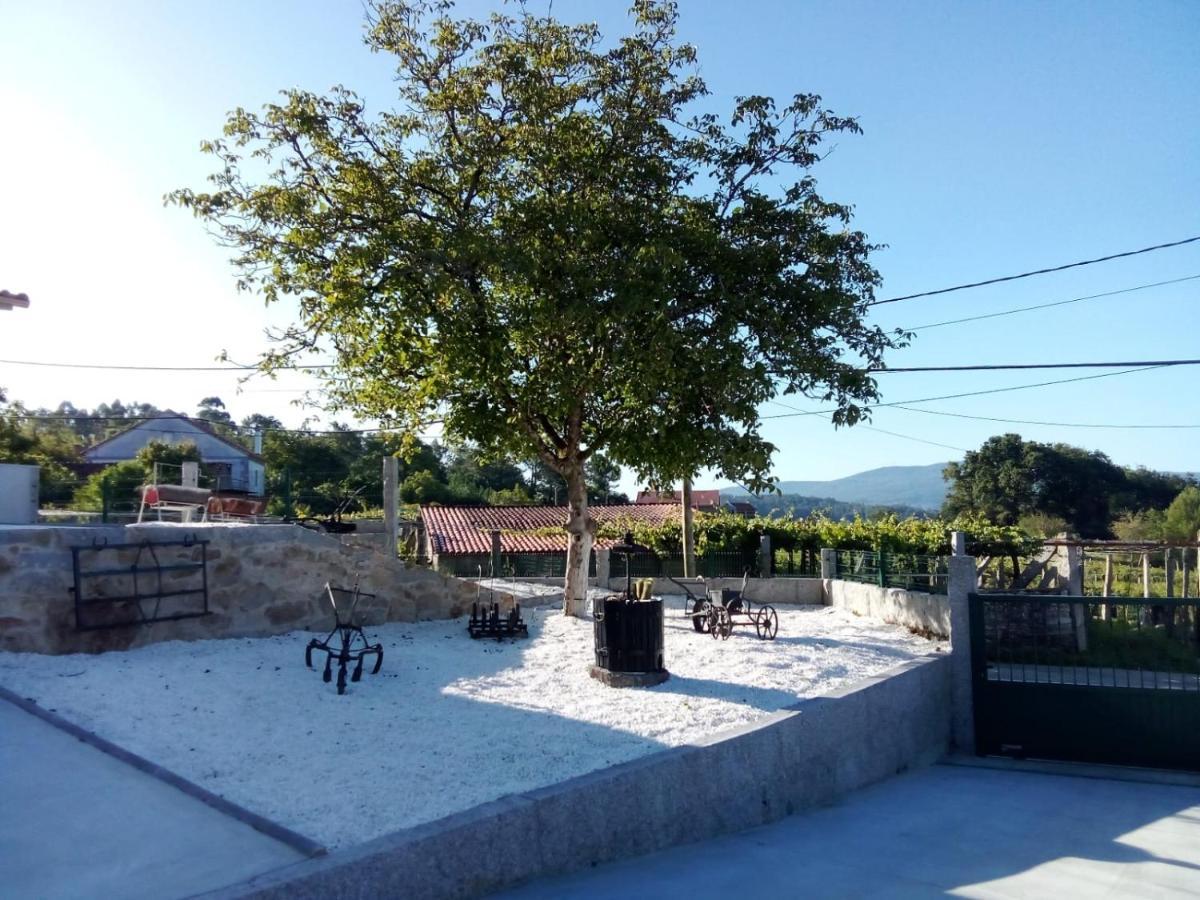 Bodega Holiday home *