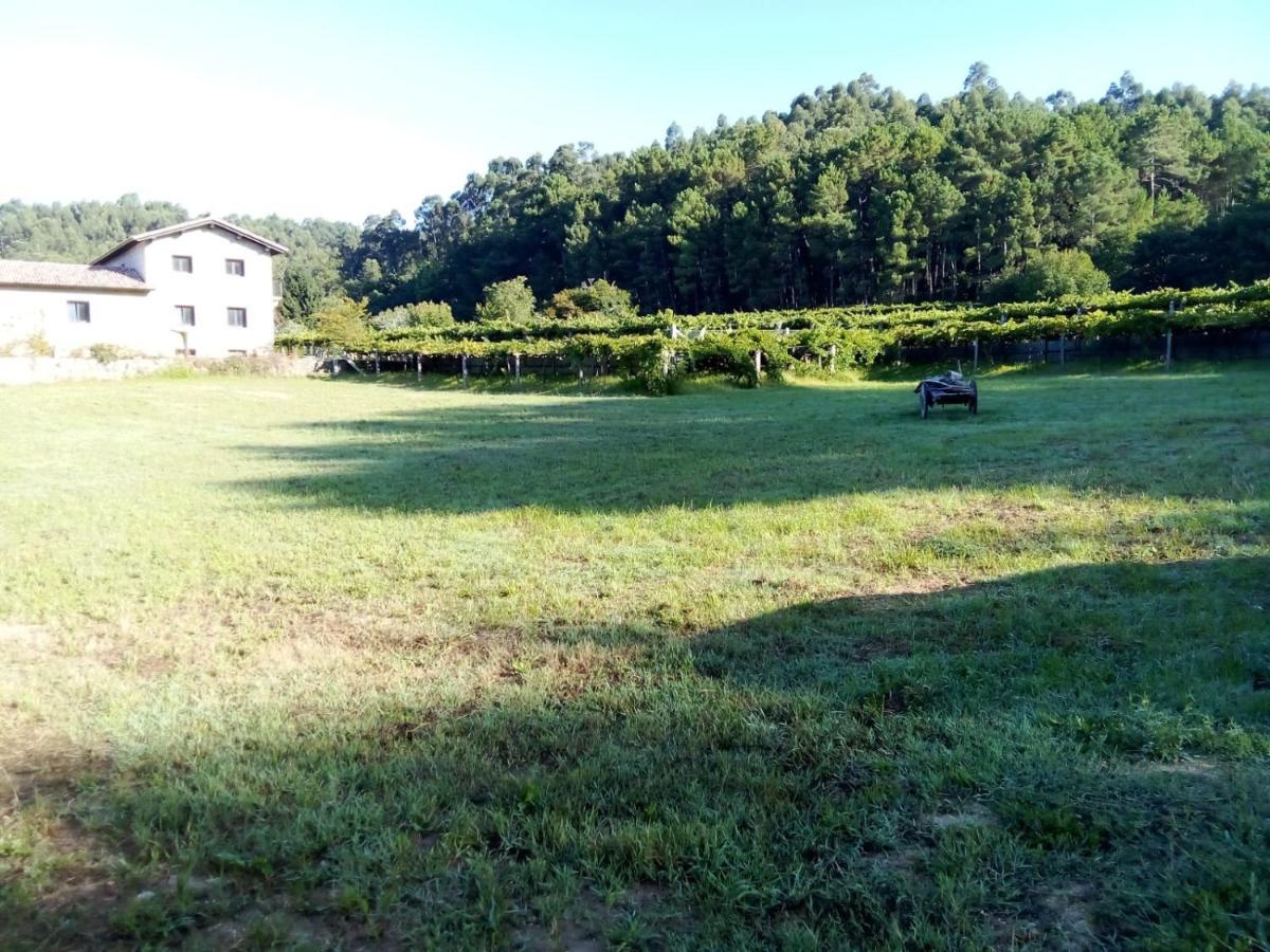 Holiday home Bodega *